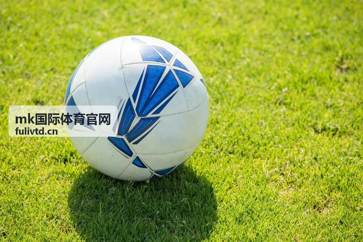 MK国际体育赛事现场与观众席全景